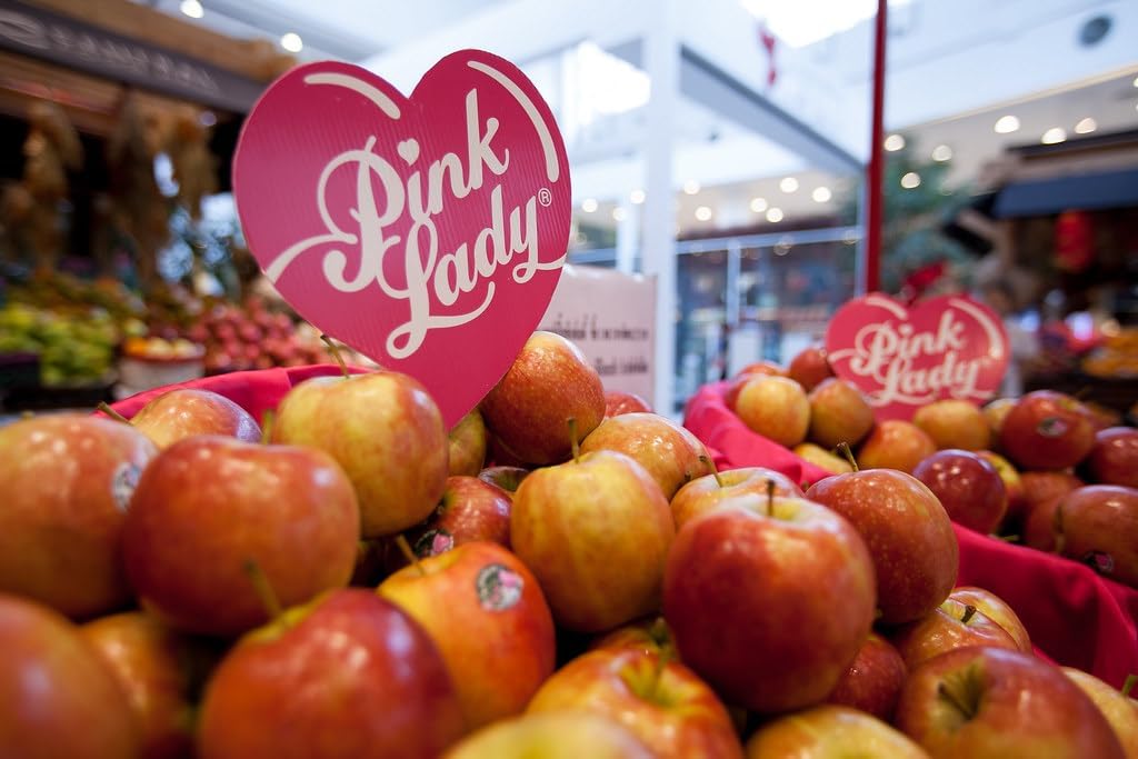PINK LADY